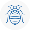 Bed Bug Extermination In North Hykeham