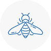 Bee Nest Removal North Hykeham