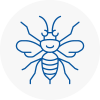 North Hykeham Hornet Nest Removals