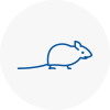Mice Exterminators In North Hykeham