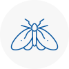 Moth Control Specialists In North Hykeham