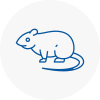 Rat Control North Hykeham