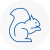North Hykeham Rodent Removals