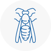 North Hykeham Wasp Nest Removal